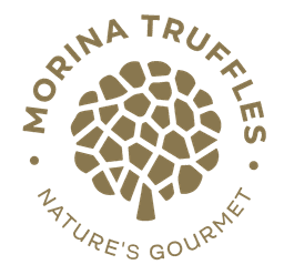 Morina Truffles — Nature's Gourmet