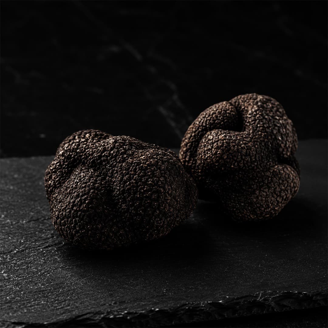 Black truffles resting on dark stone